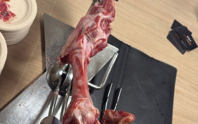 How to preserve a partially used ham: A guide to prevent it from drying out